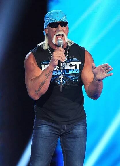 Wrestler Hulk Hogan apologizes for racist remarks