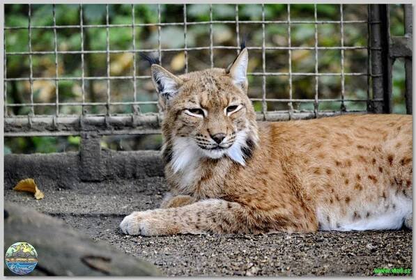 Zoopark Chomutov