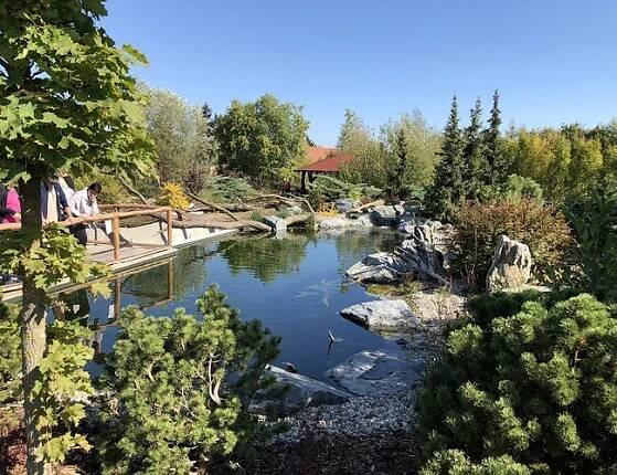 Okrasné jezírko s rybami ZOO Vyškov | Jezírka Banat
