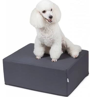 Iridog Schůdek pro psa Steppie no.5 šedý v20 x š40 x d50 cm od 1 299 Kč - Heureka.cz