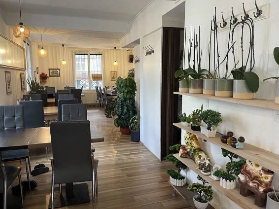Tradiční vietnamské Phở pro 1 nebo 2 osoby - Obrázek 4