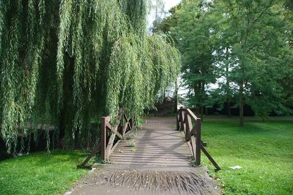 Fotogaléria • Městský park (Záhrada, park) • Mapy.com
