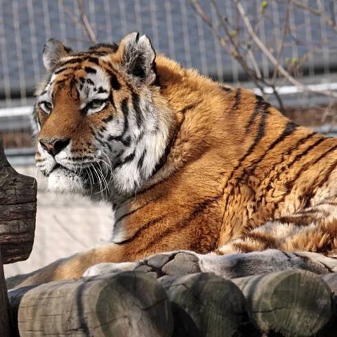 Zoo Vídeň | Slevomat.cz