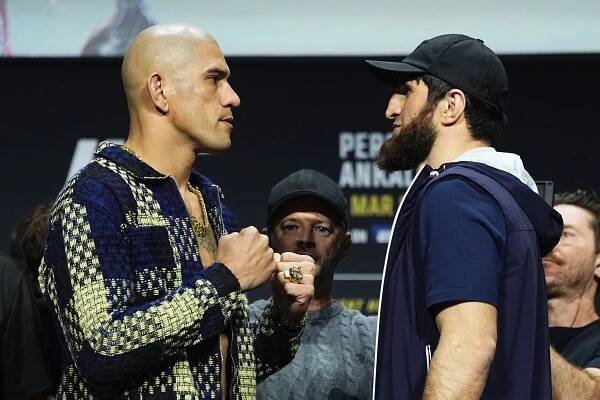 Alex Pereira and Magomed Akalaev meet in the UFC 313 main event.