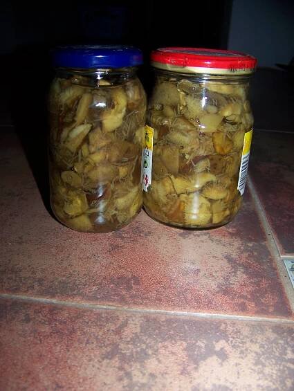 Recept: Zavařené houby