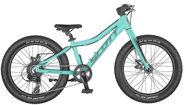 Scott Roxter 20 teal blue 2021