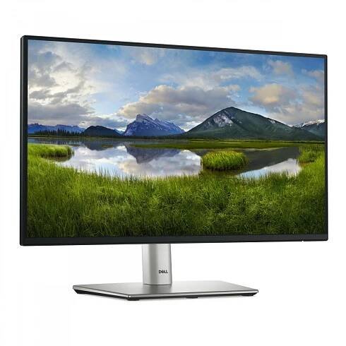 Dell P2425E