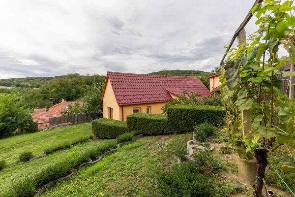 Pod Kopcem, Letonice, okres Vyškov