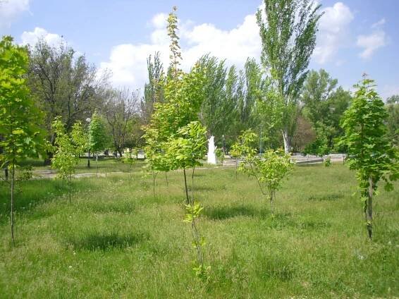 ALEJ ANDĚLŮ V LUGANSKU – АЛЛЕЯ АНГЕЛОВ В ЛУГАНСКЕ – DONBAS.CZ