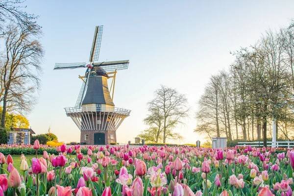 Gewinnspiel Tickets Keukenhof 2024 beendet - Beemsterkaas Deutschland