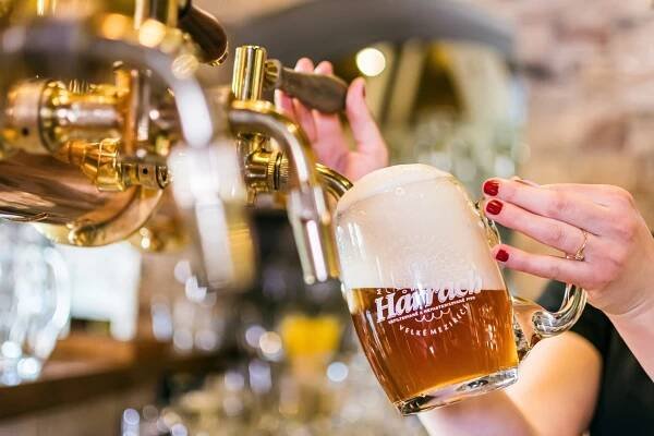 Pivo Harrach z minipivovaru Jelínkova vila ve Velkém Meziříčí