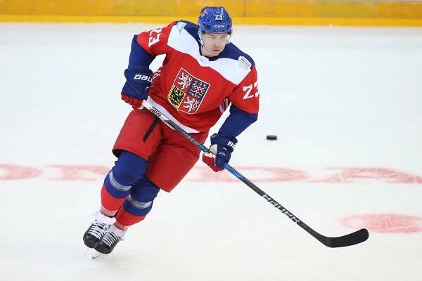 Posil ze zámoří přibývá. Národní tým získal Jaškina, Faksu a Frka, Sobotka nedorazí