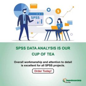 Spss data analysis service providers