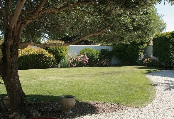 Entretien de jardin à l