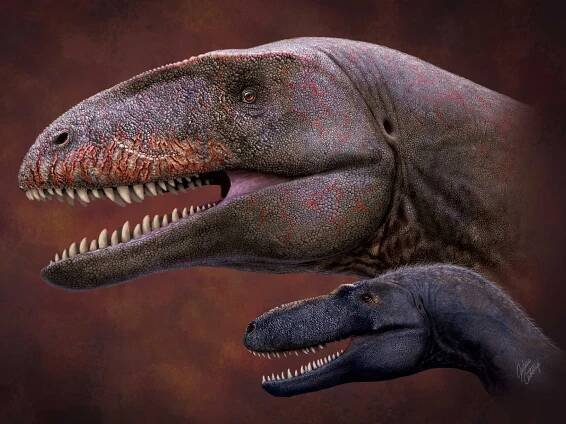 New, Giant Carnivorous Dinosaur Was a Terror to Smaller Tyrannosaurs