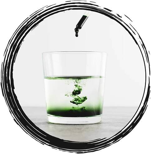 Cleanse Detox Liquid Chlorophyll + Botanicals | Kōkua