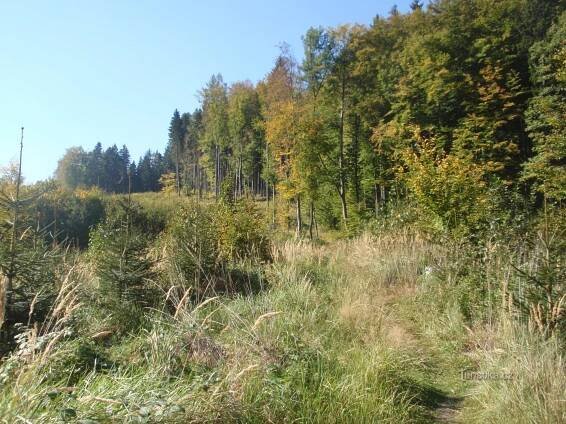 Z Račic do Jedovnic - Trasa | Turistika.cz
