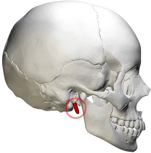 Temporal styloid process