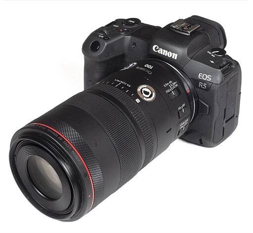 Canon RF 100mm f/2.8 L USM IS macro