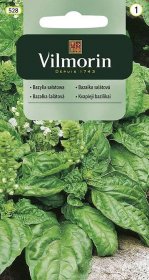 Bazalka salátová (Vilmorin)