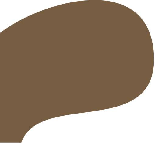 home-bg-shape-brown