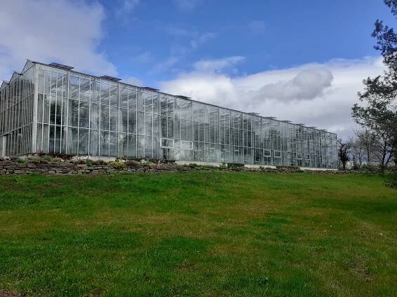 Arboretum na Opavsku je teď hitem. Není divu! Neuvěříte, co všechno už kvete