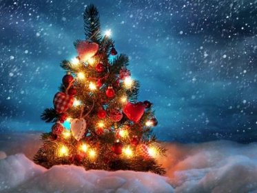 Volba: tapeta v rozlišení 1024x768 - Překrásný vánoční stromek