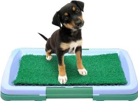 Nobby Doggy Trainer Small toaletní trenér, toaleta pro psa