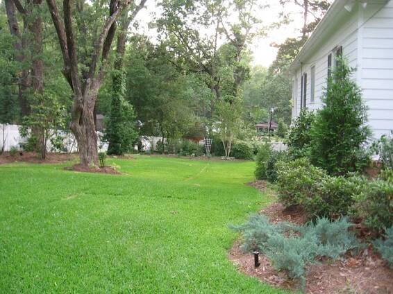 YearReview-Yard