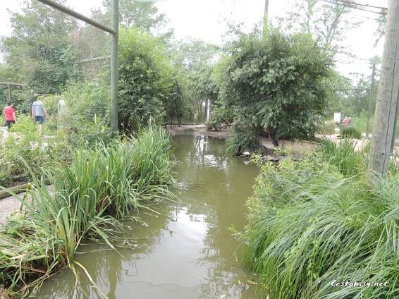 Zoo Ohrada - Hluboká nad Vltavou | Cestopisy