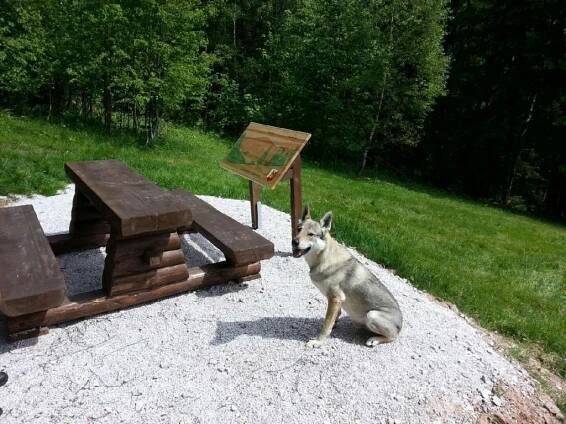 Hotel ČESKÁ FARMA, Dolní Dvůr | Hotely Penziony .cz