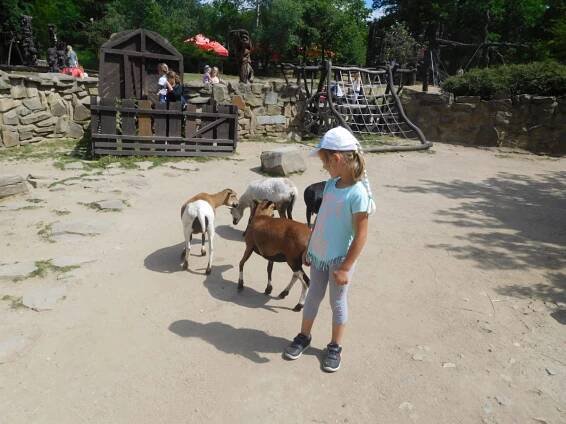 Výlet dětí MŠ a rodičů – ZOO Brno – Základní škola a Mateřská škola Žďárná