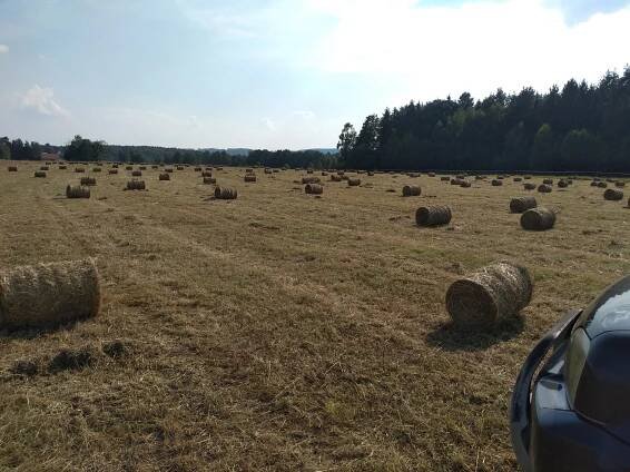 Sena, senáž 2020 – Malá farma Janov