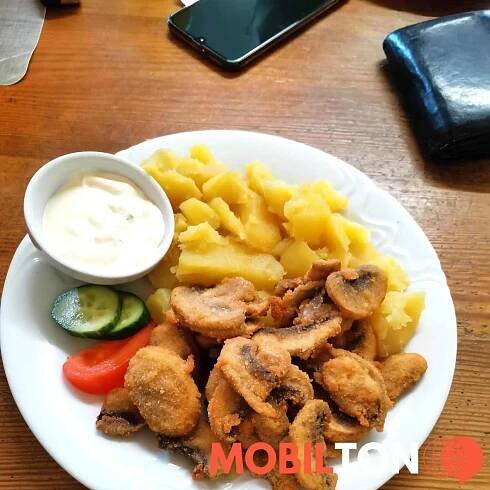 Satelit - Židněves - restaurace v Židněves