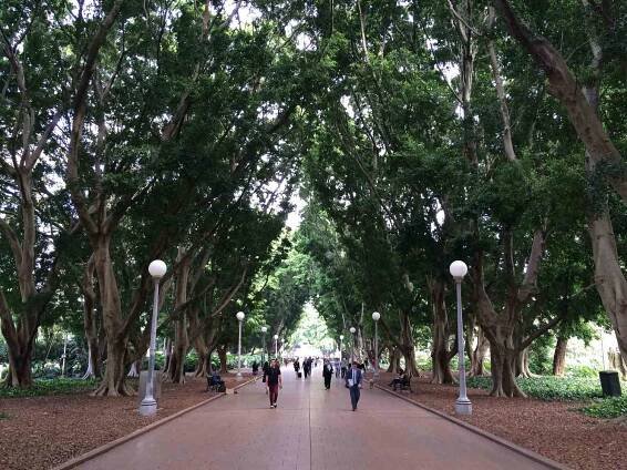 Hyde Park, Sydney
