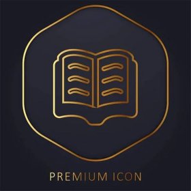 Book Golden Line Premium Logo Icon — Stock Vector