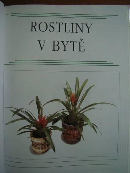 Rostliny v bytě, 2005 - Antikvariát Štáfl a spol.