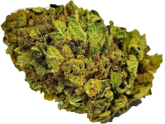 CBD KVĚTY 10g/15g/20g