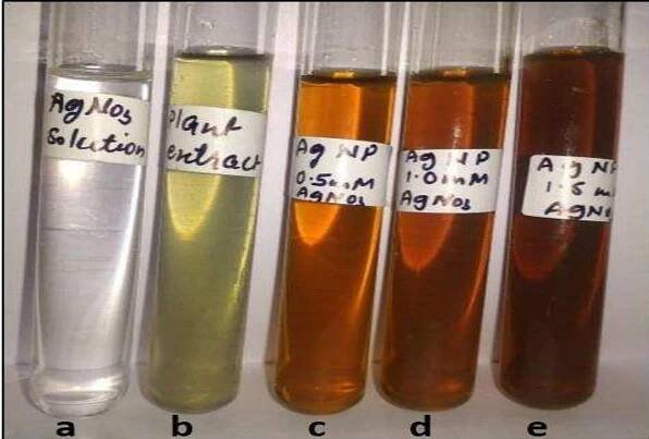 Toxicity of nanoparticles Research Papers - Academia.edu