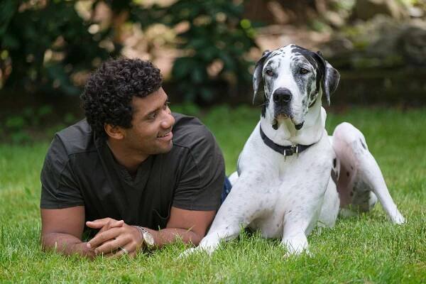 Russell Wilson Working to Protect Both People and Their Pets from Domestic Violence