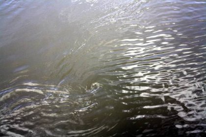 Jihomoravský kraj podpoří vodní záchranáře 2,5 miliony korun - Naše voda