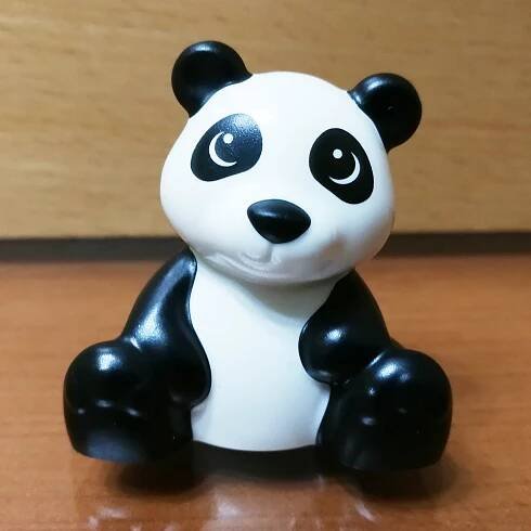 88802004 Panda - mládě