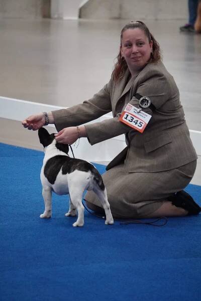 Opal Kennel