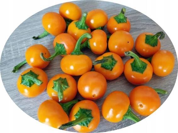 Korálově žlutá třešňová paprika k plnění!