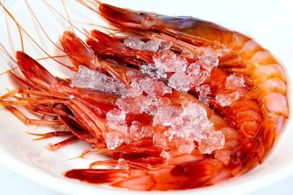 atelier_etxanobe_gamba_fresca
