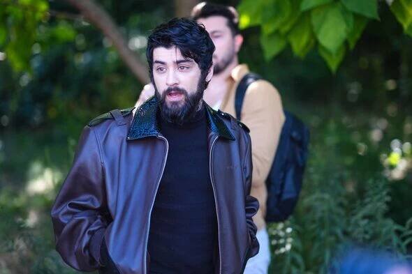 zayn malik postpones tour after