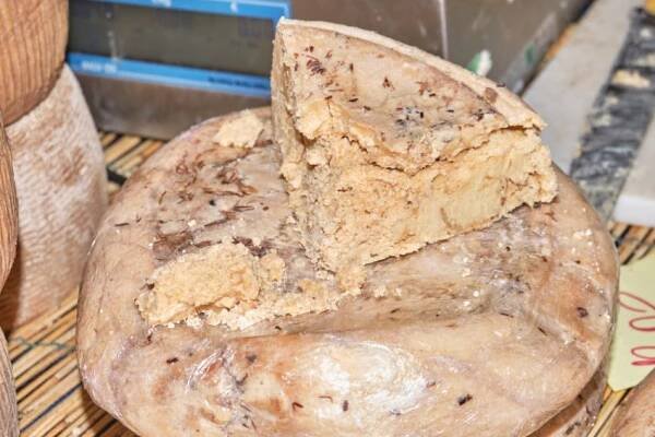 Casu marzu: Shnilý sýr, který prošel trávicím systémem larev, je na Sardinii považován za pochoutku - Jimeto.cz