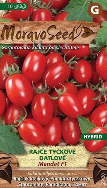 Moravo seed Mandat F1 rajče tyčkové datlové 10 ks od 59 Kč