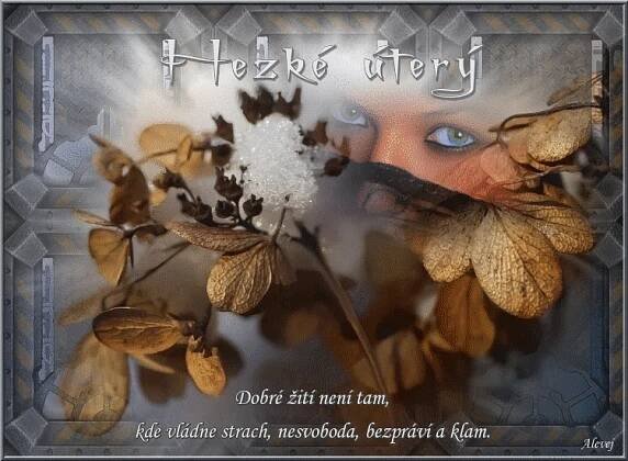 Hezké úterý - Gifyu
