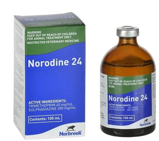 Norodine 24 Injection